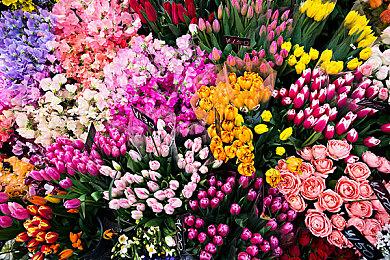 Switch 2日本销量超110万 第三方游戏销量表现较差