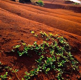 《真人快打1》将是系列发售后支持最长的游戏